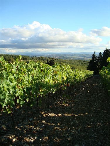 Agriturismo Il Villino Fonterutoli Bagian luar foto